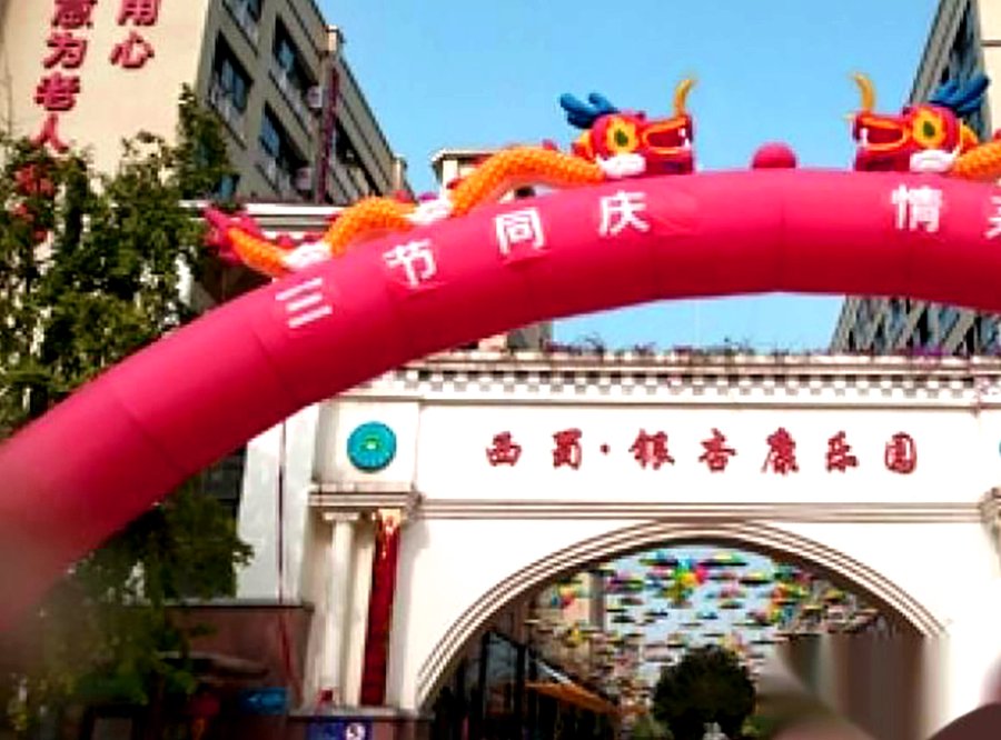 2026年成都郫都区西蜀·银杏康乐园收费参考:价格区间与费用构成解析