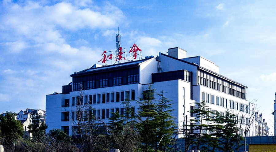 保利成都和熹会:成都养老院糖尿病低盐餐定制服务深度解析