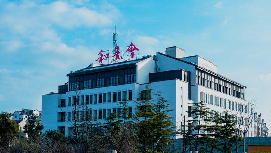 保利成都和熹会:脑卒中后遗症照护中的偏瘫与吞咽障碍管理观察