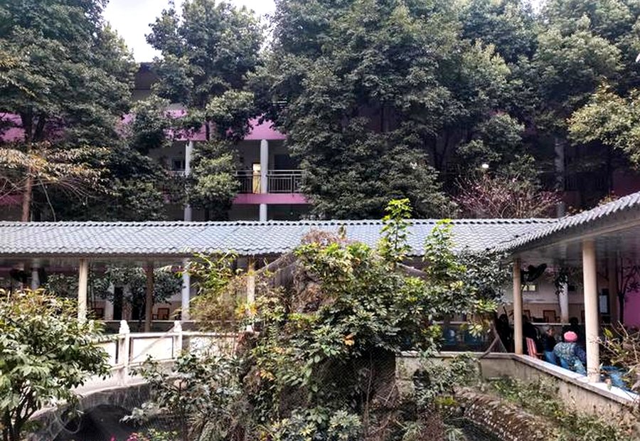 成都安宁疗护机构公开信息梳理：成都市郫都区颐园养老院服务参考