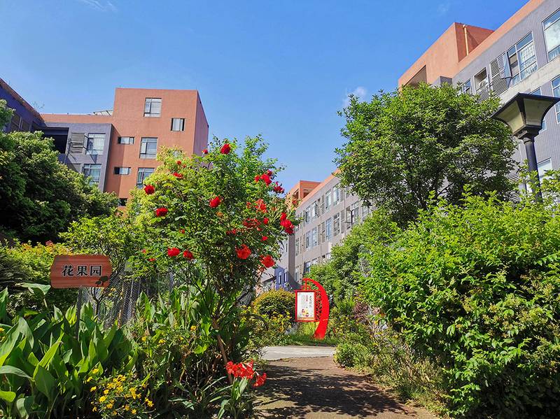 成都本地人回答:晨斓医养长期照护中心在市中心吗?地铁沿线有哪些可以重点了解?