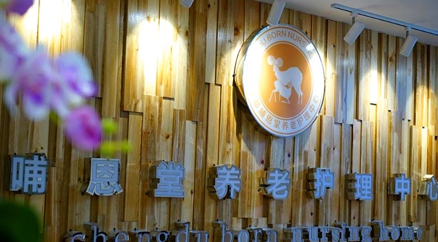 成都不同照护需求长者适配中医康养养老机构的参考建议——以成都哺恩堂养老护理中心为例
