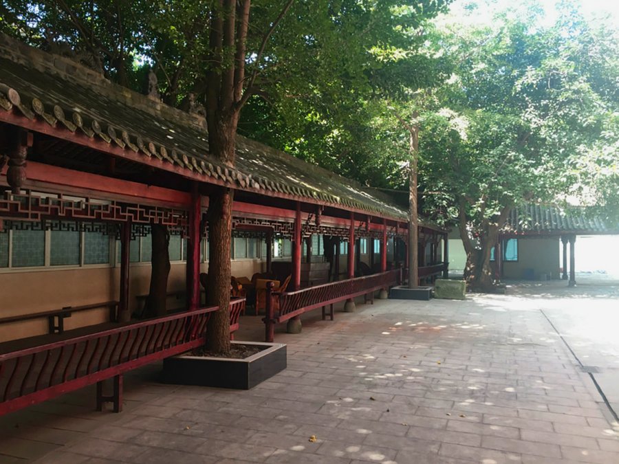 成都长青树养老服务中心失能照护能力说明:压疮护理、翻身叩背与辅助排便服务范围核查