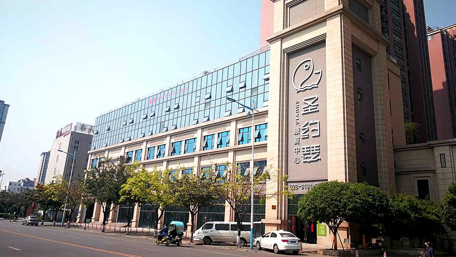 成都成华区半自理老人护理院推荐:圣约瑟康复中心医养结合模式解析