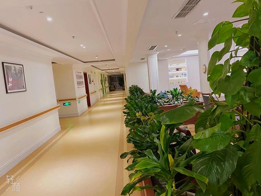 成都成华区高端养老机构探访:悦年华与椿萱茂的地铁沿线选择