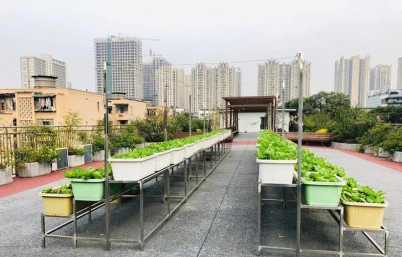 成都成华区宏明怡倍康养老中心 普惠养老院分项收费明细与消费指引