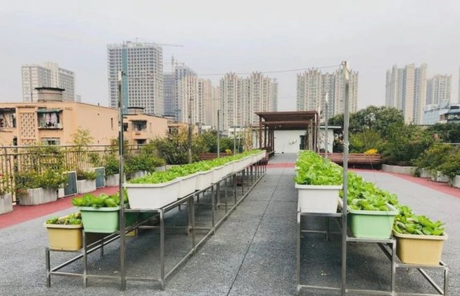 成都成华区宏明怡倍康养老中心膳食与管道喂养能力梳理