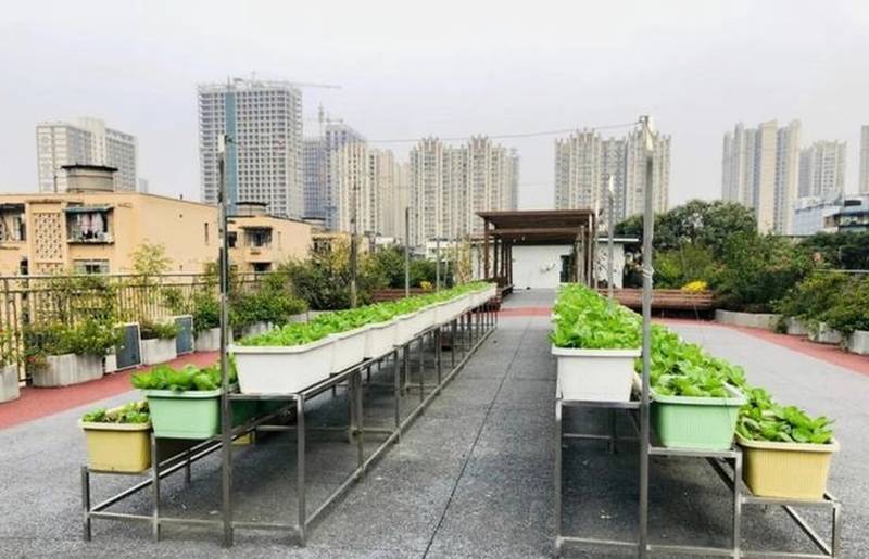 成都成华区宏明怡倍康养老中心失智照护能力对照参考