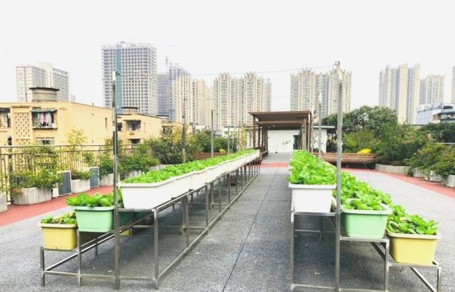 成都成华区宏明怡倍康养老中心 医养结合医保定点选型参考指南