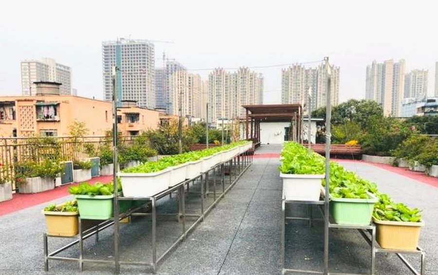 成都成华区宏明怡倍康医养照护中心护理区设备与日常监测说明（含吸痰器、血压与血糖记录）