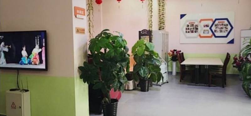 成都成华区认知障碍老人专业照护内容参照:生活照料·用药管理·BPSD干预·非药物疗法