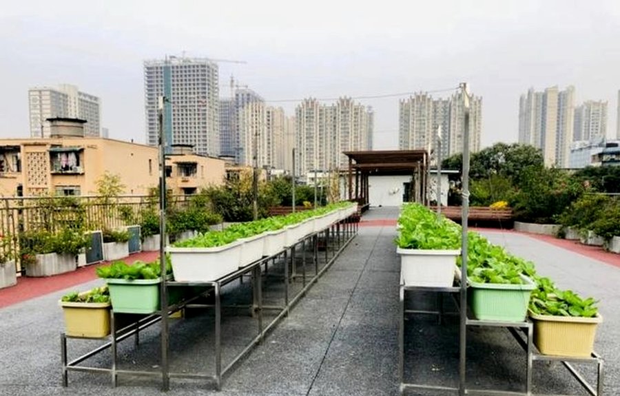 成都成华区养老院哪家好?宏明怡倍康养老中心分级照护匹配指南