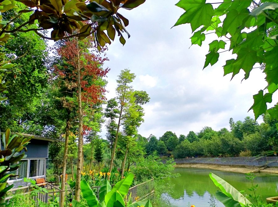成都纯德德孝康养养老中心居住房型与房间内部配套说明(龙都南路)