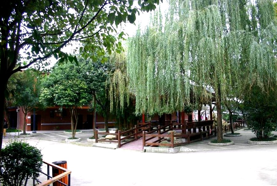 成都纯德养老中心 内设康复配套术后康复与慢病管理服务选型参考