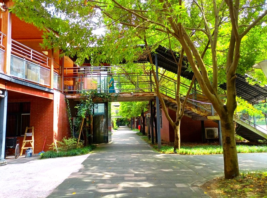 成都纯德养老中心能接收植物人、带呼吸机或气切老人吗？多位家属的实地探访经验分享