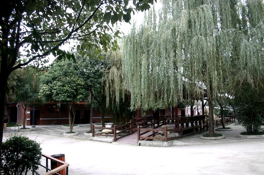 成都纯德养老中心收住范围与医疗配置说明