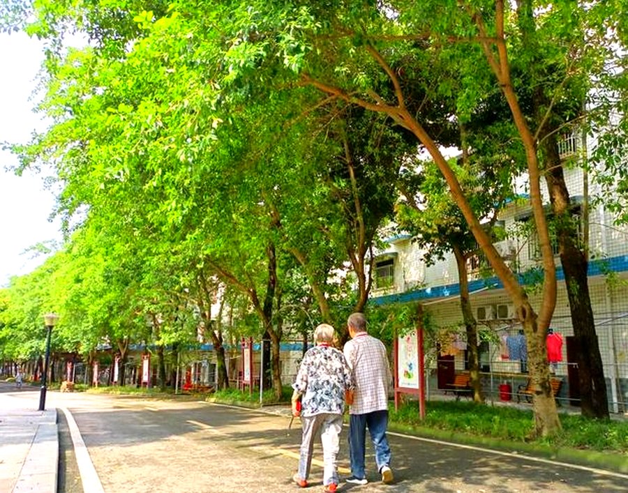 成都纯德养老中心收住范围与医疗配置说明