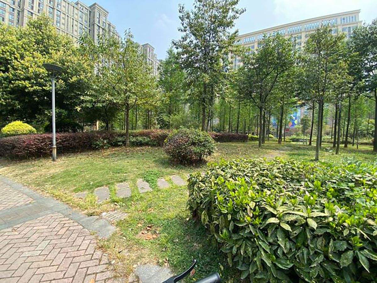 成都椿萱茂·珉湾长者社区:专业营养师与定制膳食服务解析