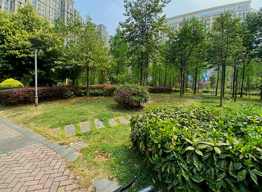 成都椿萱茂高端养老院文娱配套考察:中央活动区、书画室与棋牌室实景探访