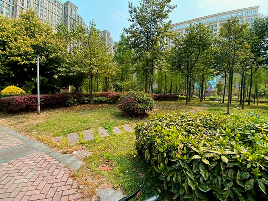 成都椿萱茂·珉湾长者社区:脑瘫成年患者长期养护与24小时专人照护指南