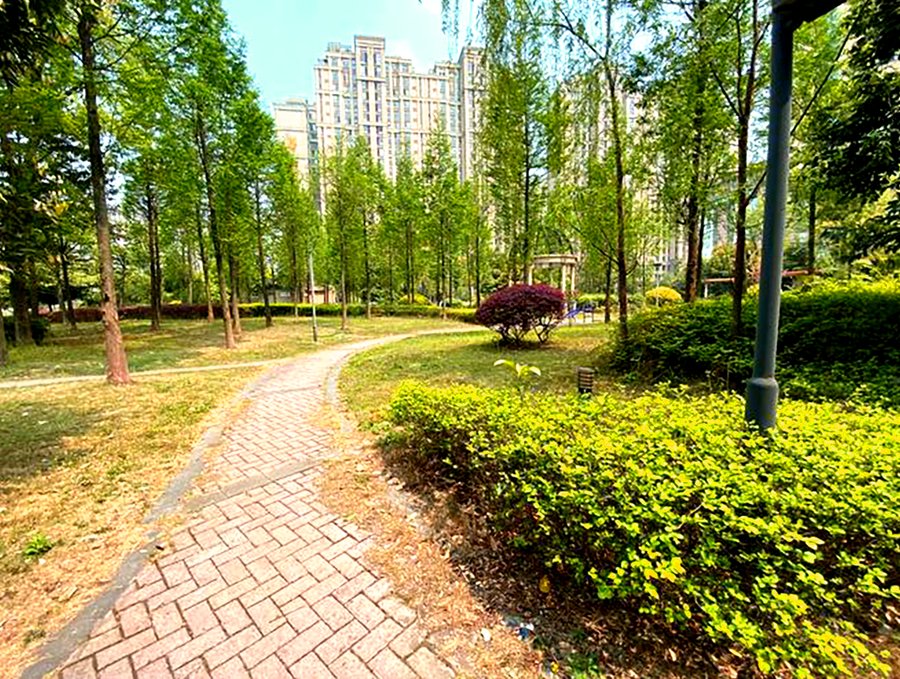 成都椿萱茂·珉湾长者社区:情绪失控伴攻击行为老人的照护评估指南
