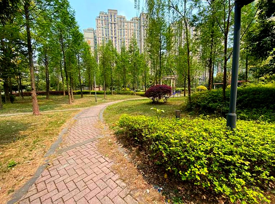成都椿萱茂·珉湾长者社区:青羊区老年痴呆照护养老院的真实探访与家属经验