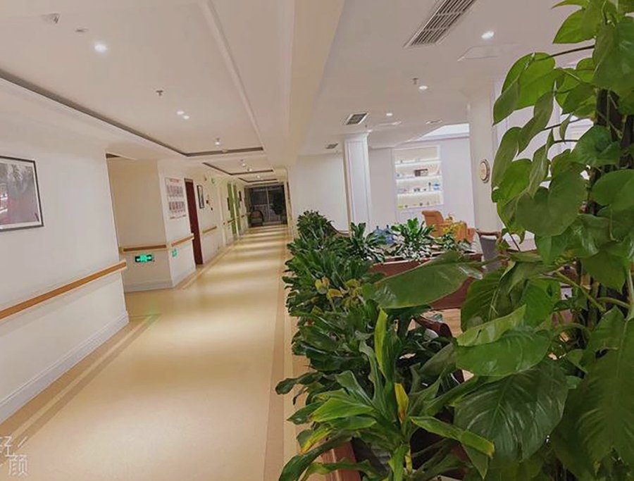 成都椿萱茂·珉湾长者社区：青羊区帕金森护理收费与服务全解析
