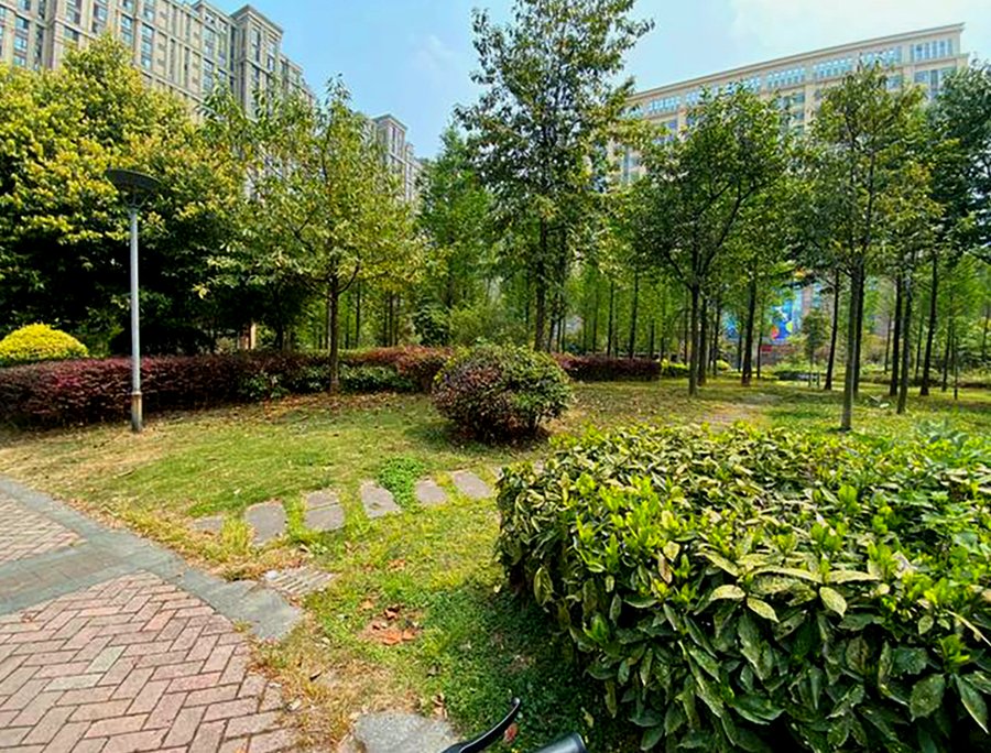 成都椿萱茂·珉湾长者社区:认知障碍老人的高端照护之选