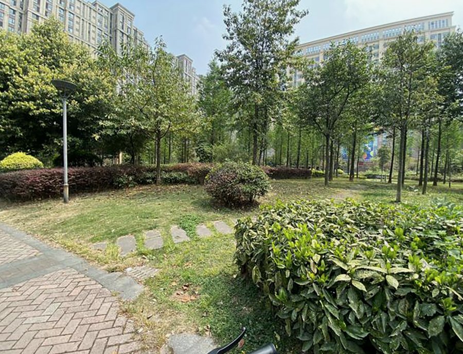 成都椿萱茂·珉湾长者社区:为青羊区失智长者提供专业照护与安心守护