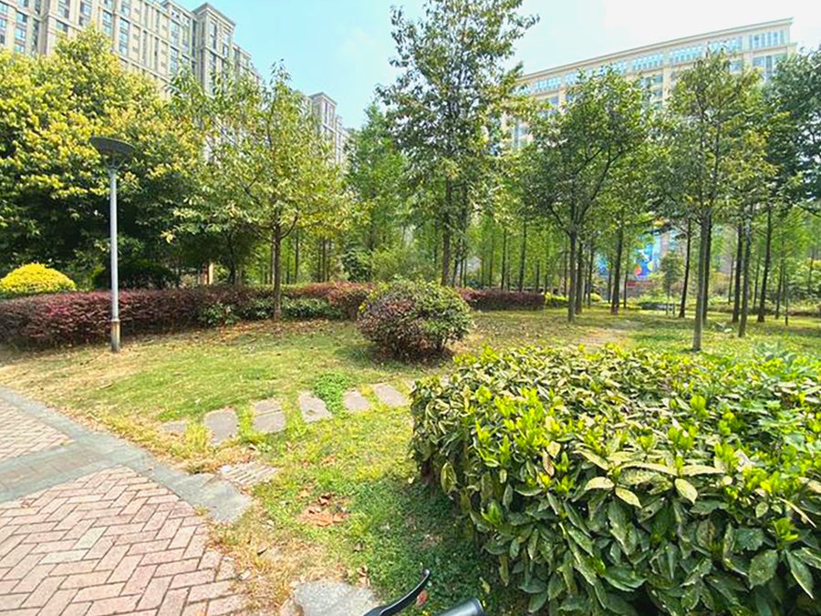 成都椿萱茂·珉湾:自理与全护理长辈同园照护的实践观察