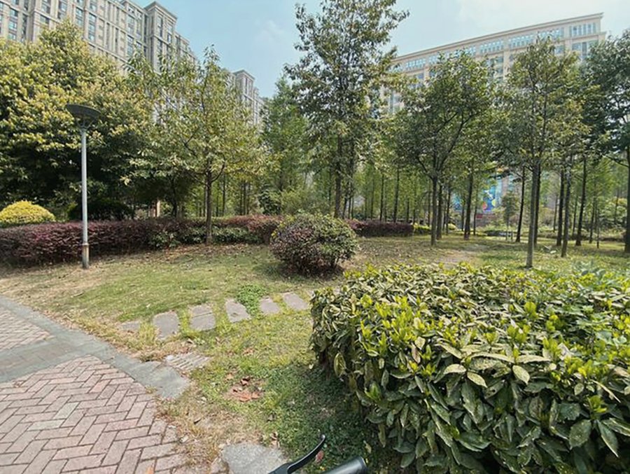 成都椿萱茂：全失能特护一对一的养老院探访与选择指南