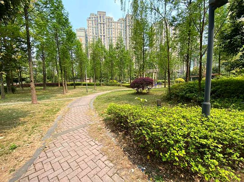 成都带环湖步道的养老院考察攻略:以椿萱茂珉湾为例的环境、配套与适老化细节解读