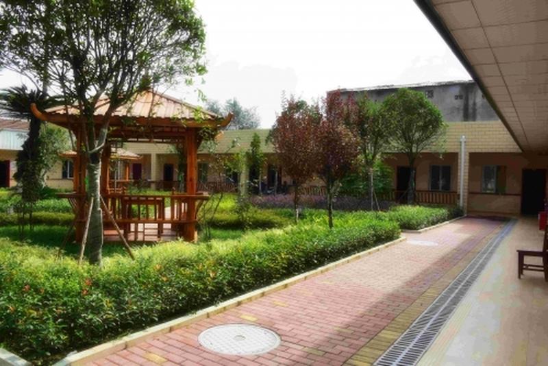 成都地家康养中心:成华区具备脑卒中与骨科康复能力的养老机构场景化观察
