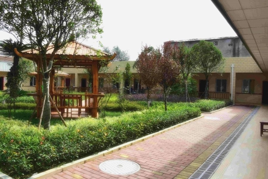 成都地家康养中心:成华区医养结合花园式养老机构选择参考指南