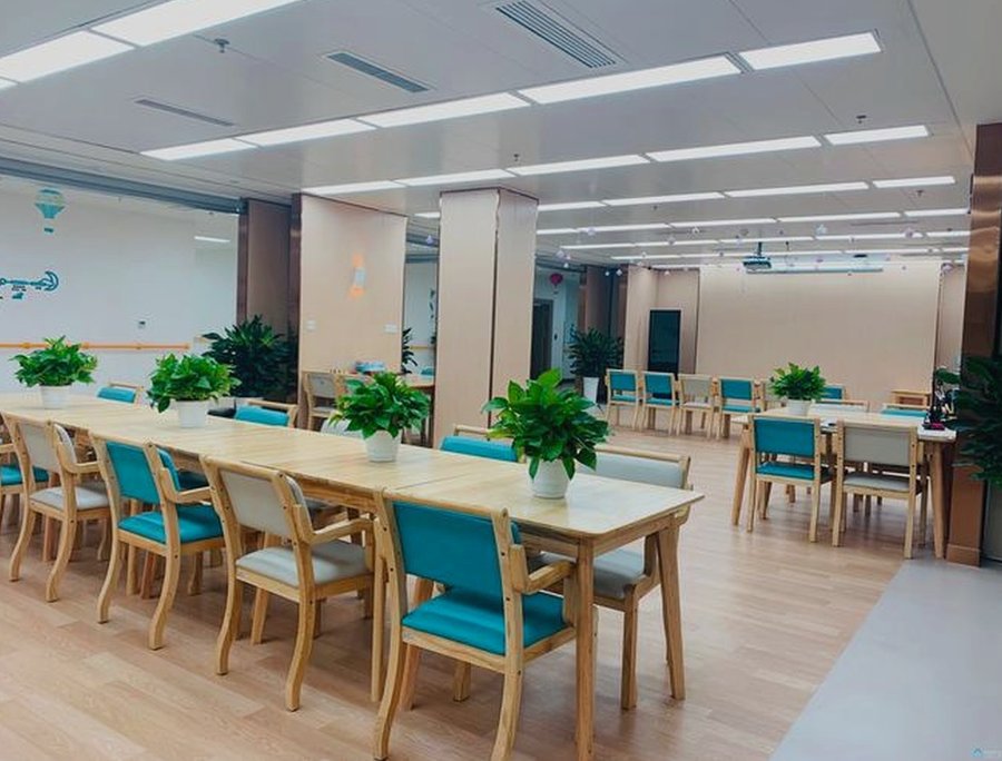 成都福年康养中心营养膳食服务说明:食谱制定与特殊餐执行参考