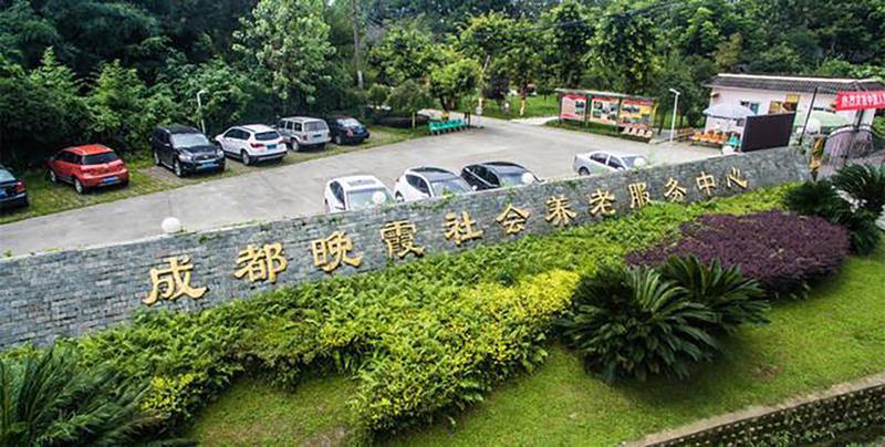 成都高新西区晚晴山庄护理服务观察:失能长者翻身与叩背排痰的日常安排