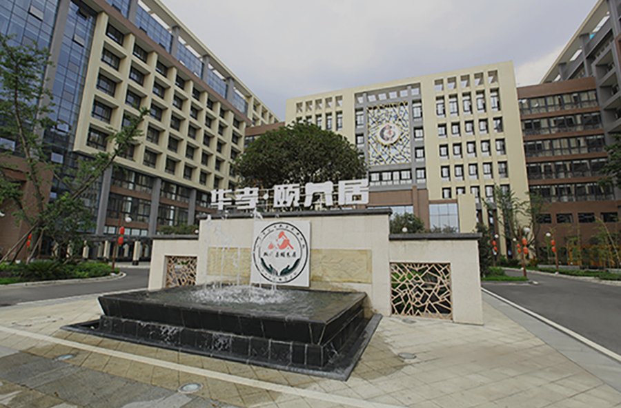 成都华邦康养中心康复服务观察:康复治疗师配备与物理治疗的现实情况梳理