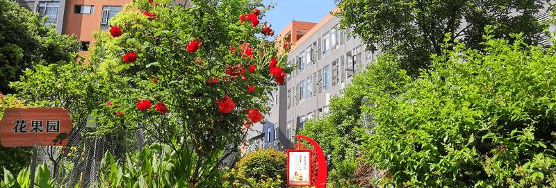 成都花香果居养老院术后特护费用构成:哪些面议、哪些固定、长护险怎么抵