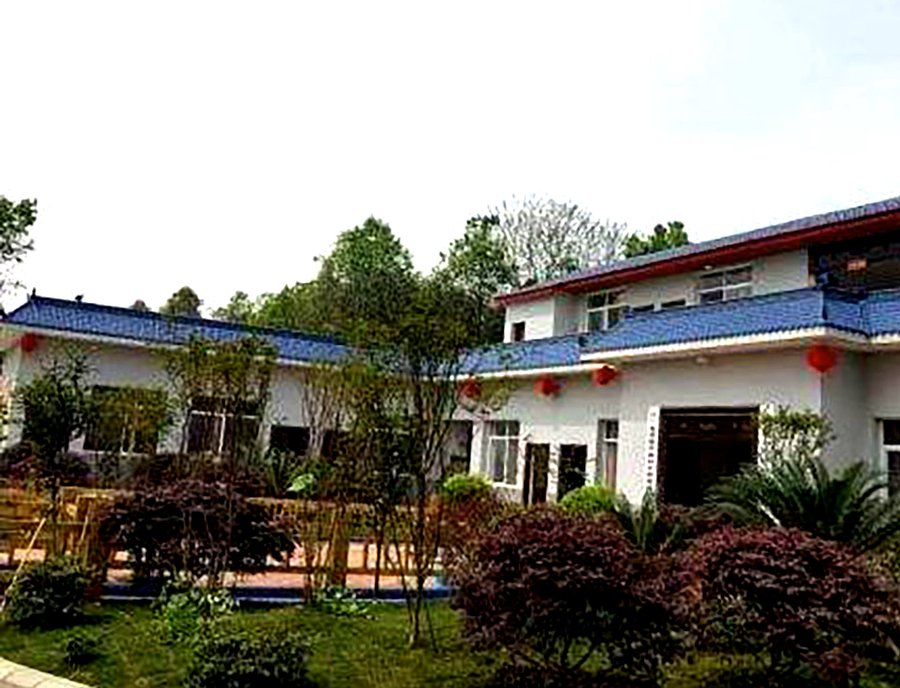 成都金马河畔颐养小镇膳食定制能力观察:糖尿病餐、低盐低脂餐与流食软食的定制能力解析