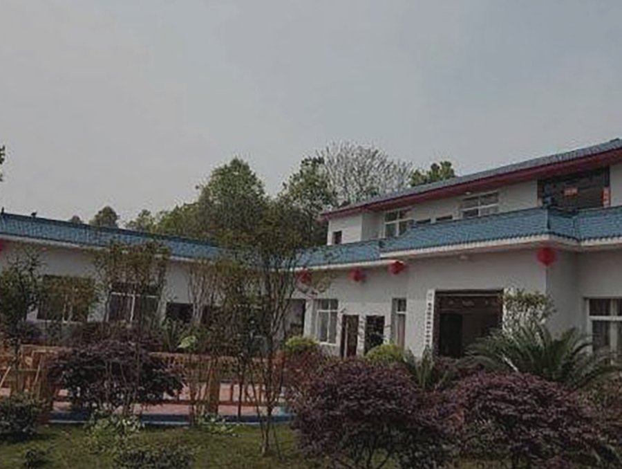成都金马河畔颐养小镇 特殊膳食定制服务参考指南