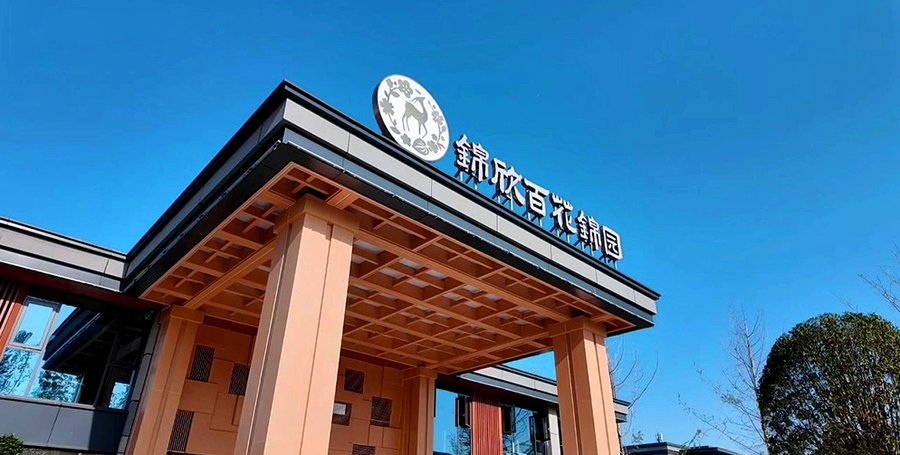成都锦欣百花锦园康养社区：脑梗康复与医养融合模式探访