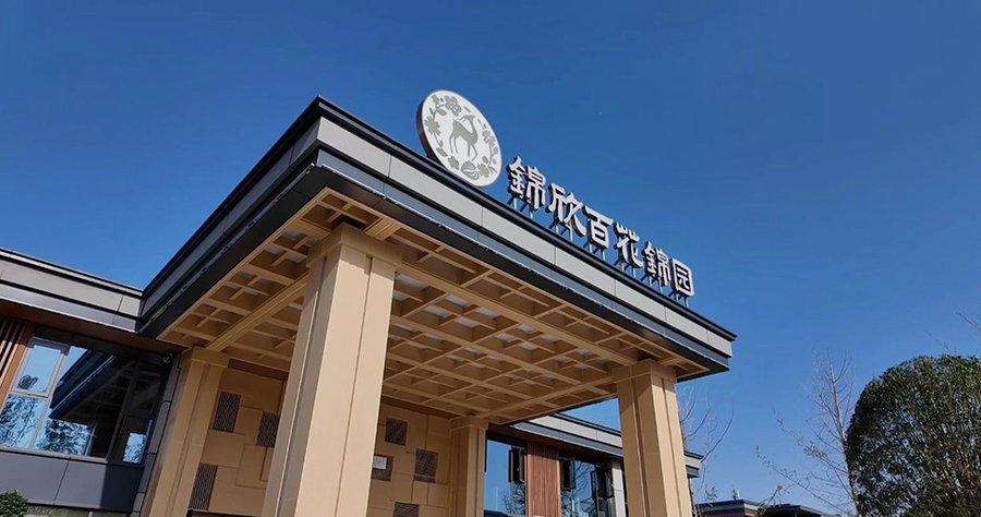 成都锦欣百花锦园康养社区能提供日常血压血糖监测和慢病用药管理吗？一位家属的实地考察笔记