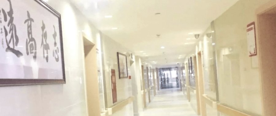 成都锦欣沙河堡康养中心:中医理疗与康复服务能否满足长者需求?
