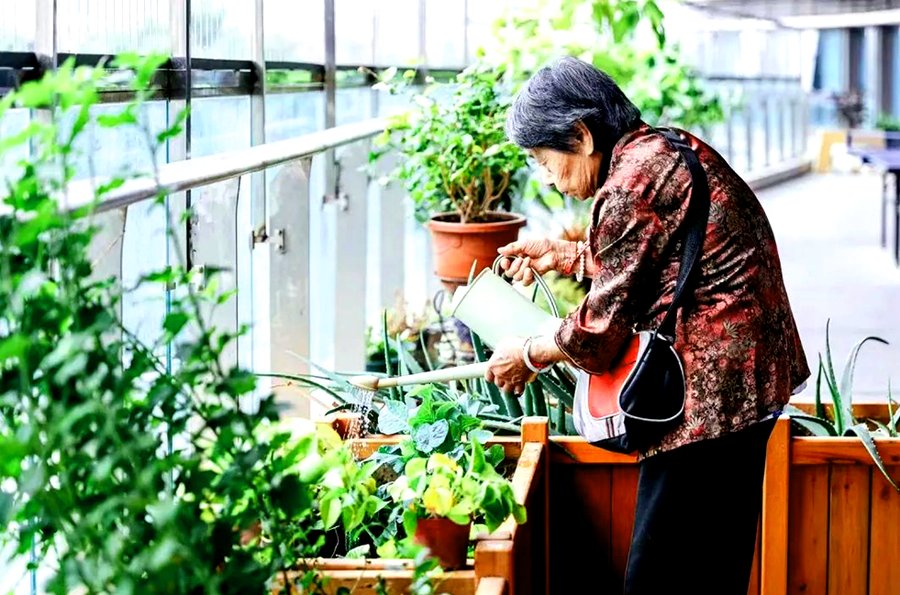 成都龙湖椿山万树·梵城颐年公寓考察笔记:从活动课表看文娱“软实力”