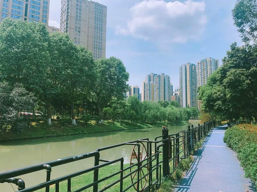 成都龙湖椿山万树:为高血压长者定制“低盐低脂”膳食与医养结合照护方案