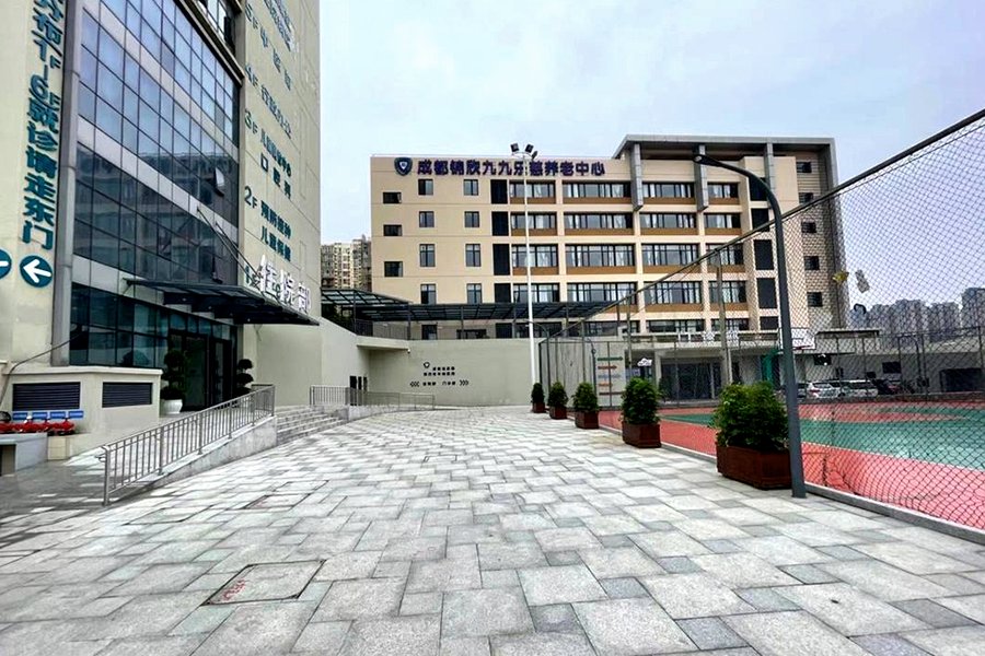 成都龙泉锦欣九九乐慈养老中心:龙泉驿区认知症照护与怀旧疗法服务观察