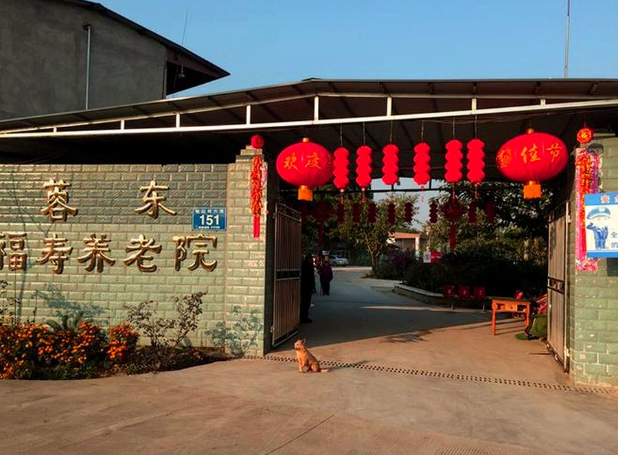 成都龙泉蓉东福寿养老院:龙泉驿区卧床失能老人的压疮与管路护理能力考察