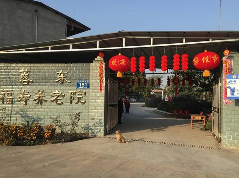 成都龙泉蓉东福寿养老院认知症照护专区观察:非药物干预与防走失措施对照参考