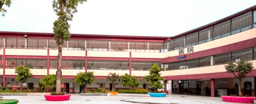 成都龙泉驿区老玩童疗养院康复服务观察:术后康复、认知训练与康复阶梯配置