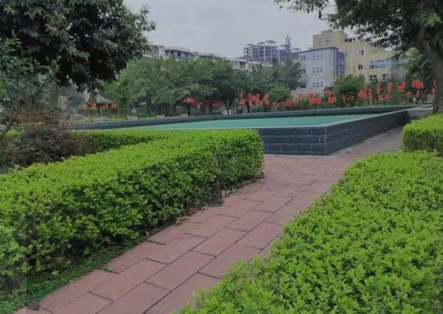 成都龙泉驿区启阳颐养中心:聚焦鼻饲营养与吞咽功能支持的实践观察